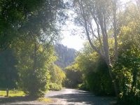 Duncans Mills Camping Club