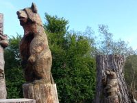 Duncans Mills Camping Club