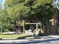 Duncans Mills Camping Club