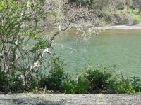 Duncans Mills Camping Club