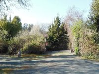 Duncans Mills Camping Club