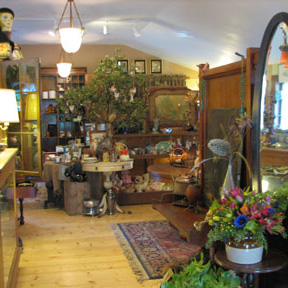 Antiquarian & Florabunda