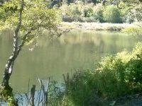 Duncans Mills Camping Club